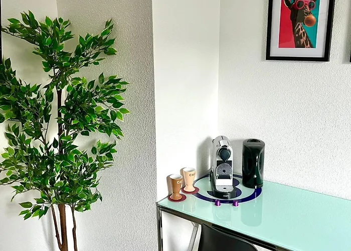 Calm And Cozy * 리옹